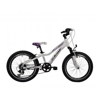 Rower 20" VENTTI Alu;1x6s;VB WH/VI