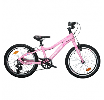 Rower 20" VICCA Alu;1x6s;VB PN